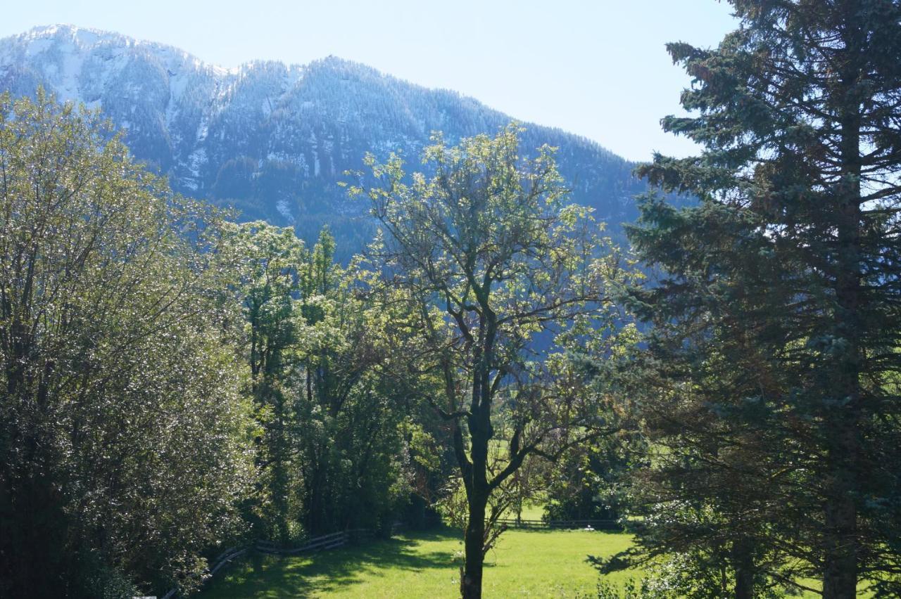Apartment Alpenpanorama Goldegg im Pongau Exterior foto